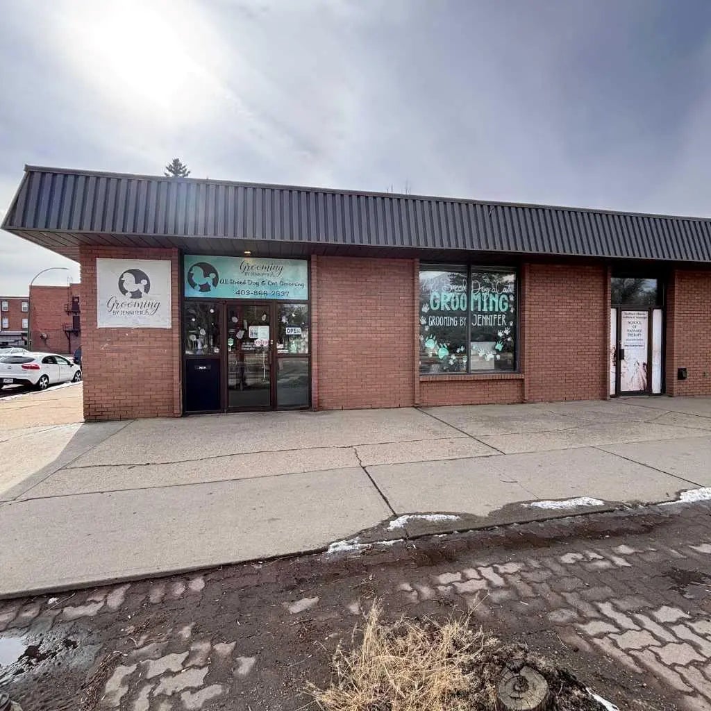 Photo of Listing #A2297406