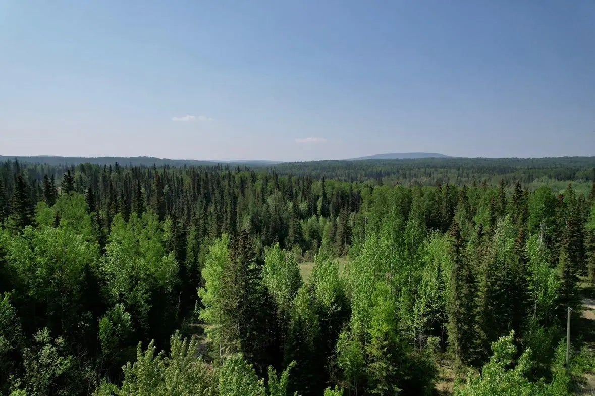 Photo of Listing #A2297414