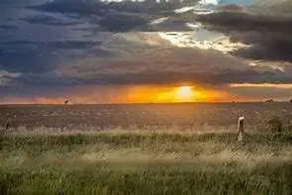 235082 Range Road 243  , Strathmore
