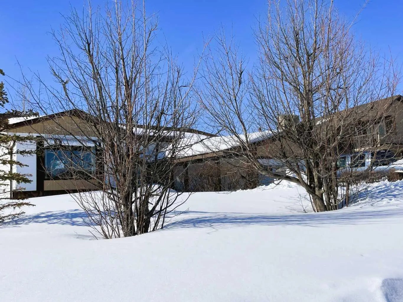 Photo of Listing #A2298275