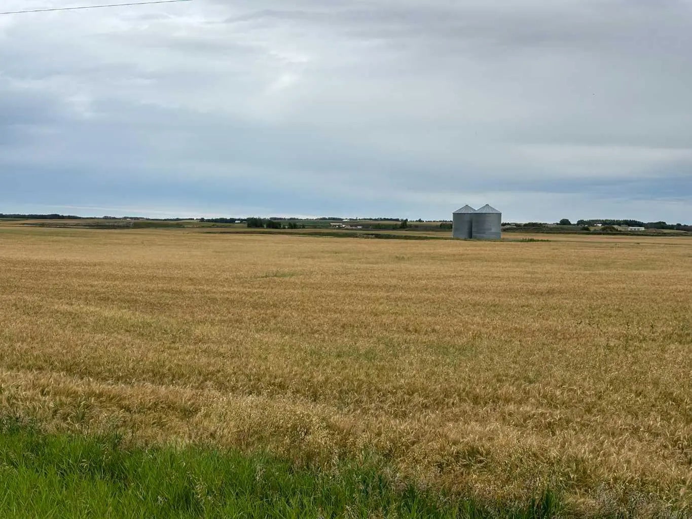 Photo of Listing #A2298299