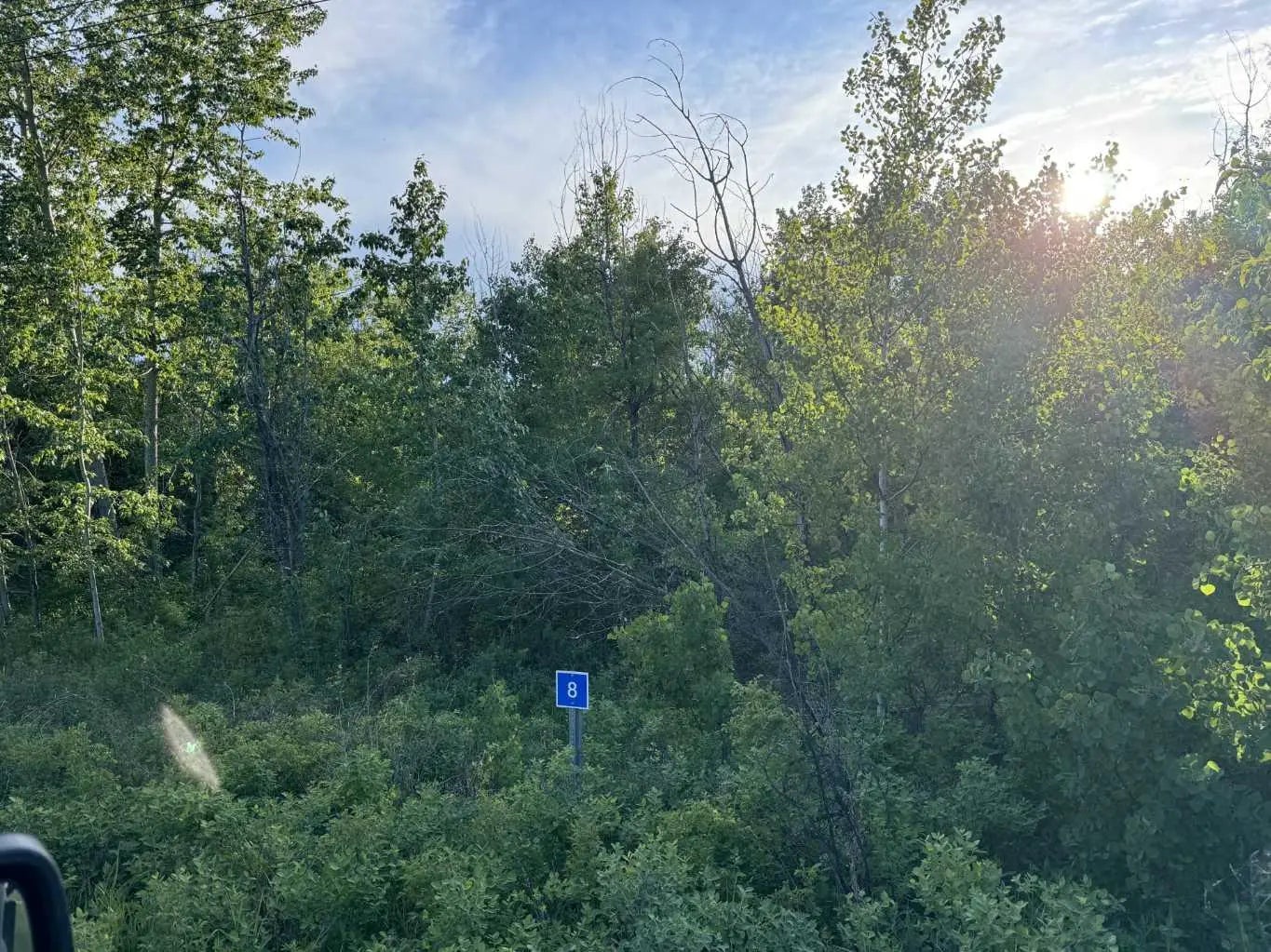 Photo of Listing #A2298569