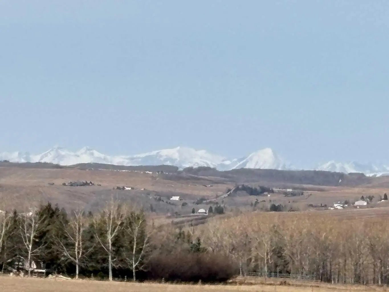 Photo of Listing #A2299601