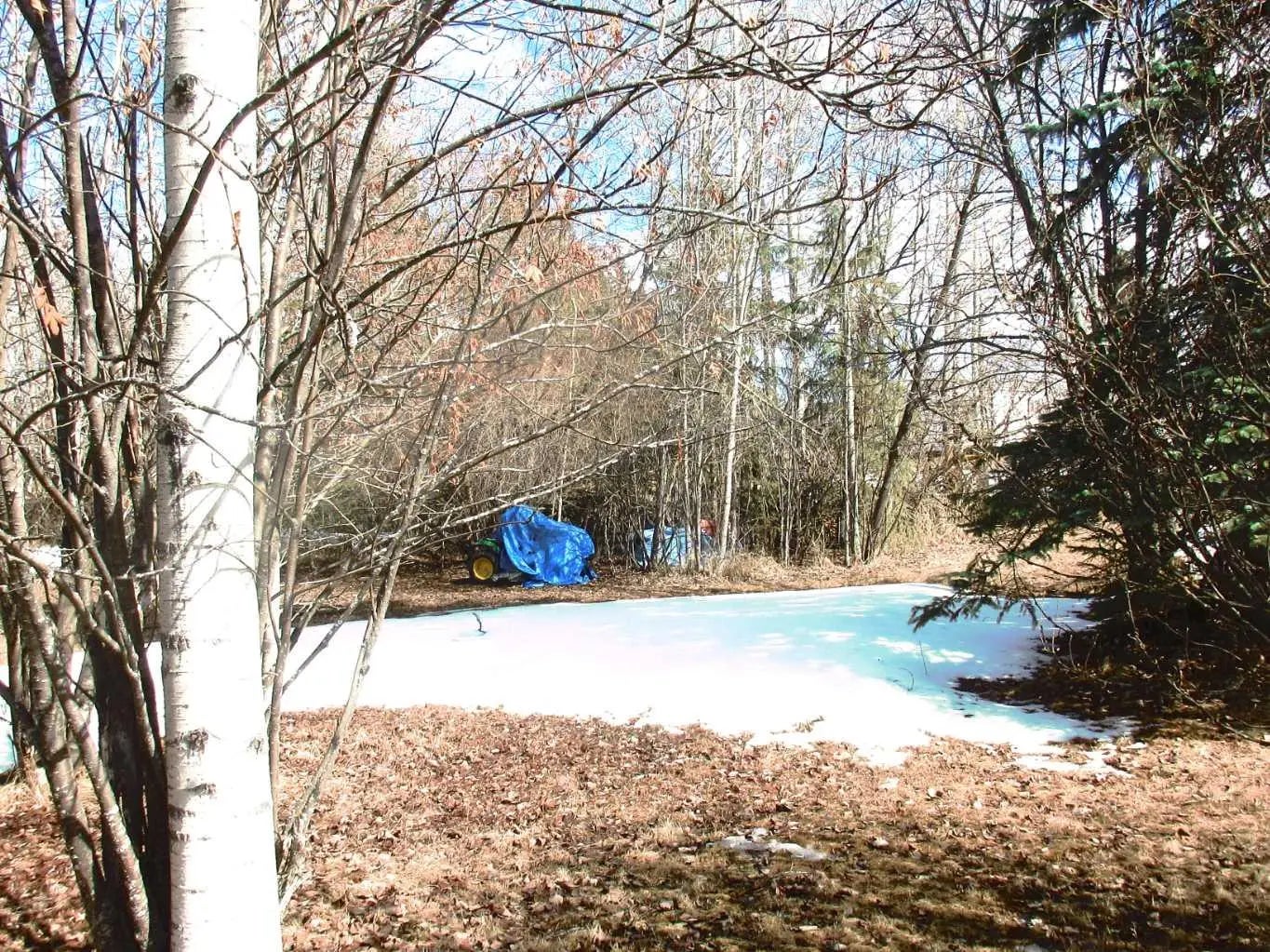 Photo of Listing #A2300202