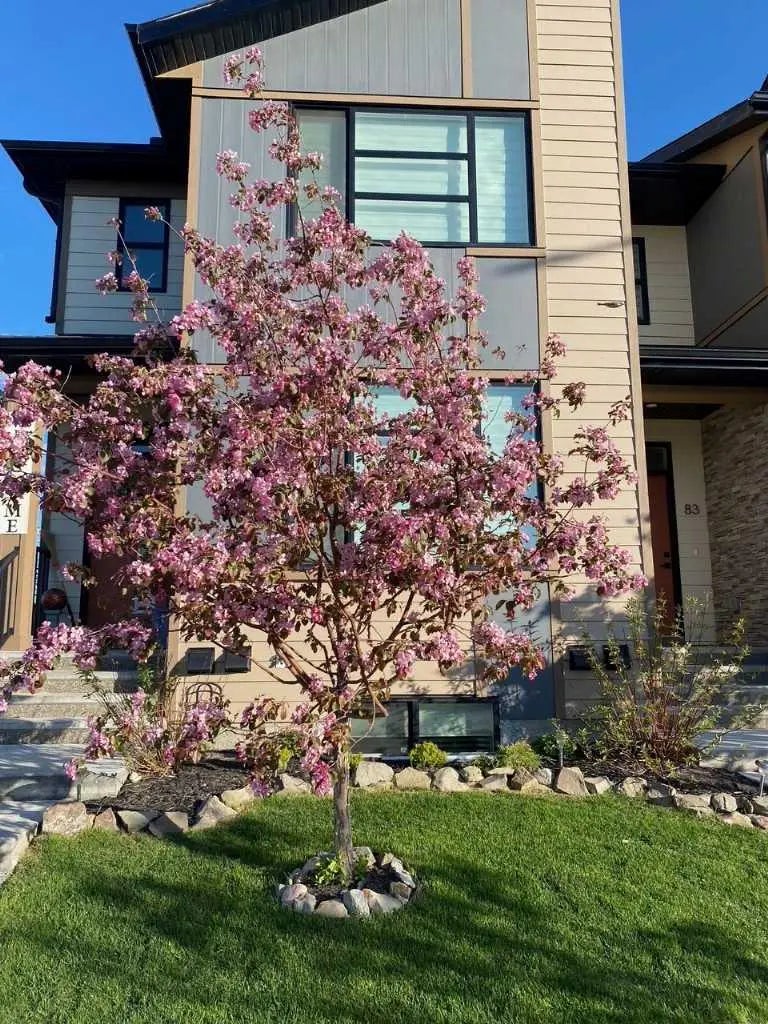 Photo of Listing #A2300226