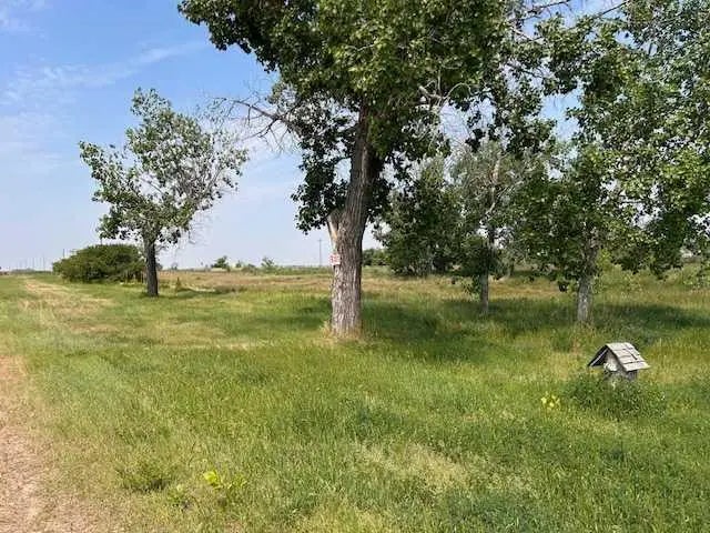 Photo of Listing #A2300493