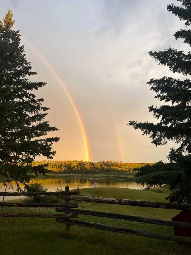 Photo of Listing #A2301052