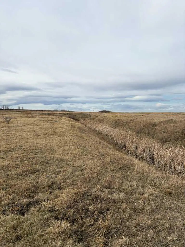 Photo of Listing #A2301779