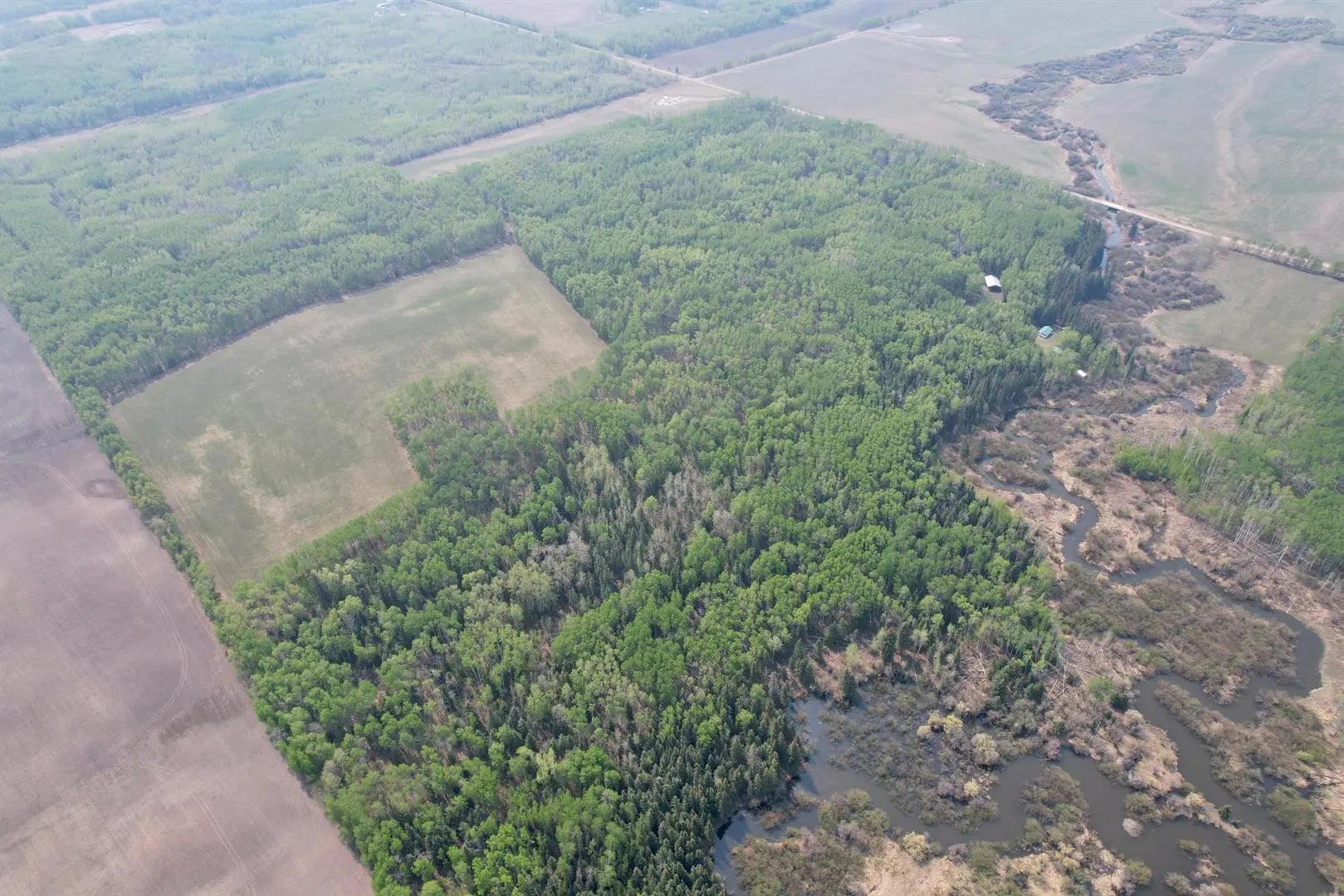 Photo of Listing #A2302143