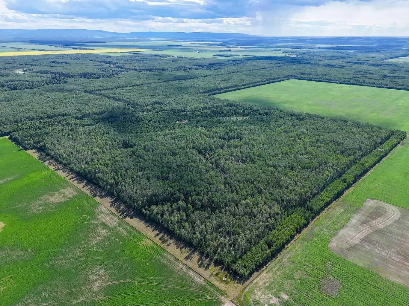 Photo of Listing #A2302510