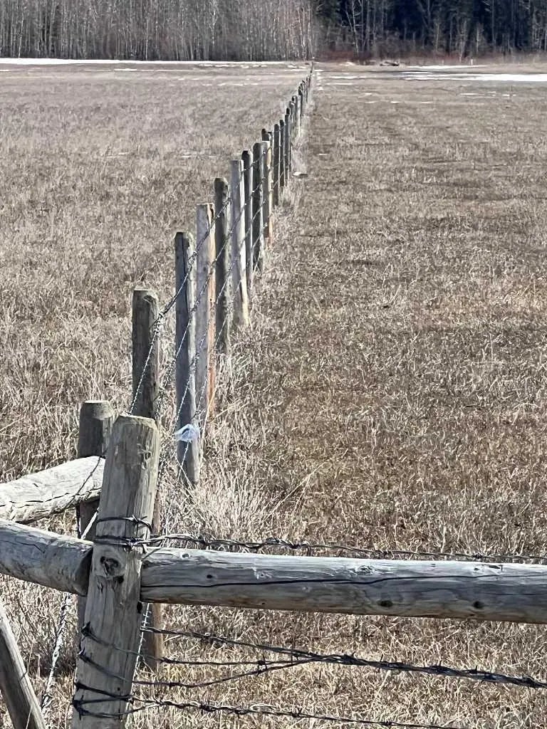 Photo of Listing #A2302626