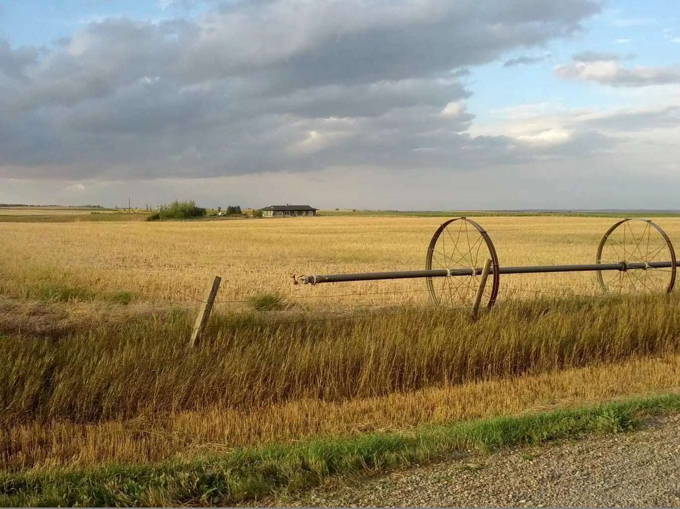 Photo of Listing #A2302760