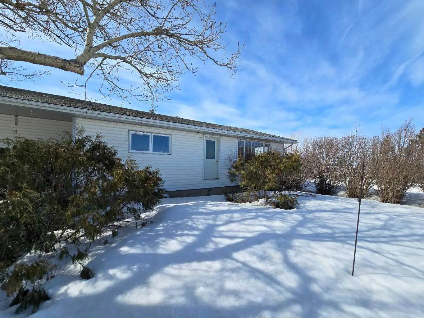 Photo of Listing #A2302841