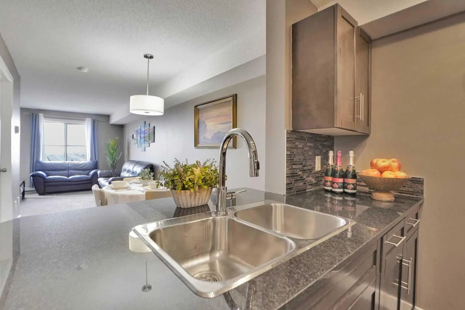 414 7210 80 Avenue Northeast, Calgary – Residential Apartment Listing Photo 8