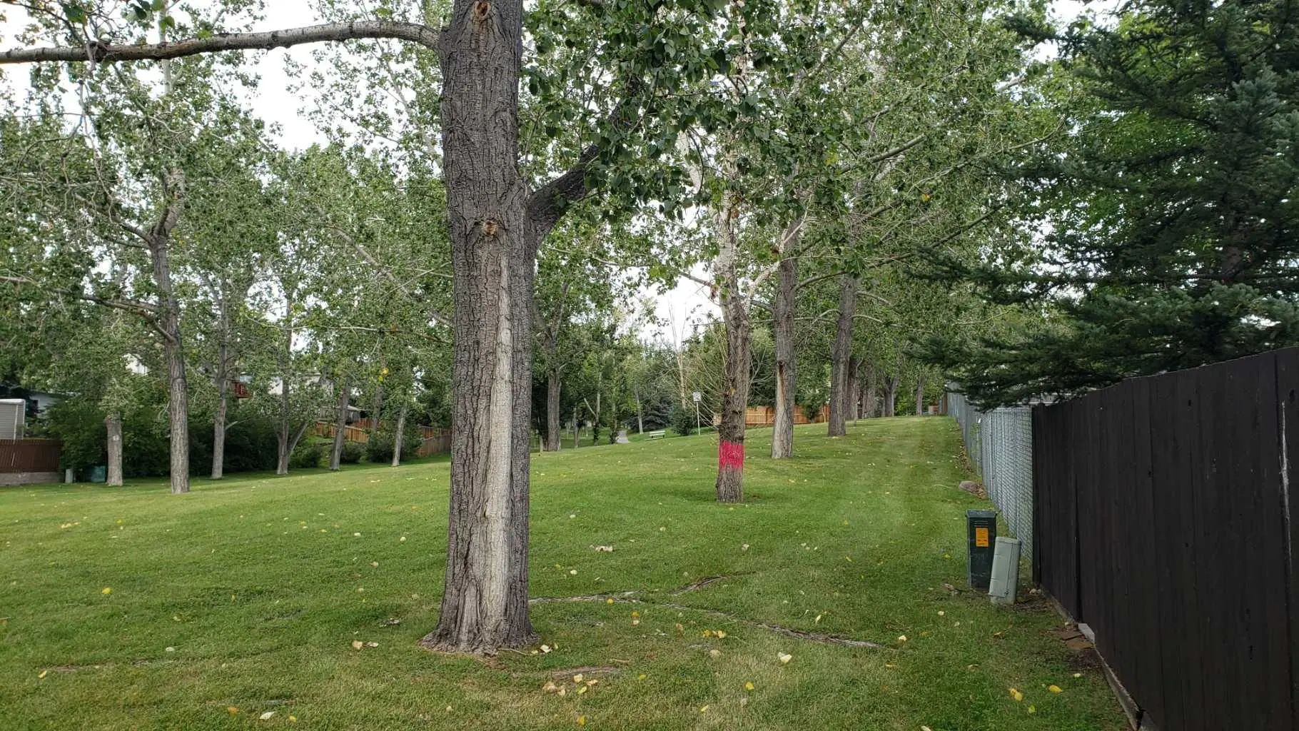 5801 Dalgleish Road Northwest, Calgary – Residential Semi Detached (Half Duplex) Listing Photo 23