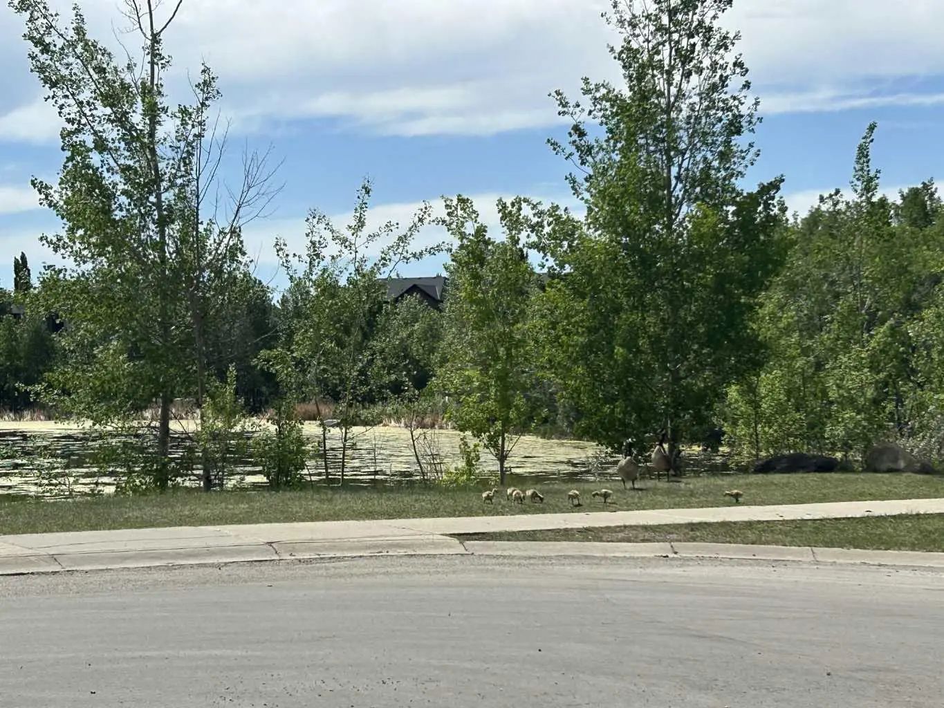 284 Rock Lake Drive Northwest, Calgary – Land Residential Land Listing Photo 10