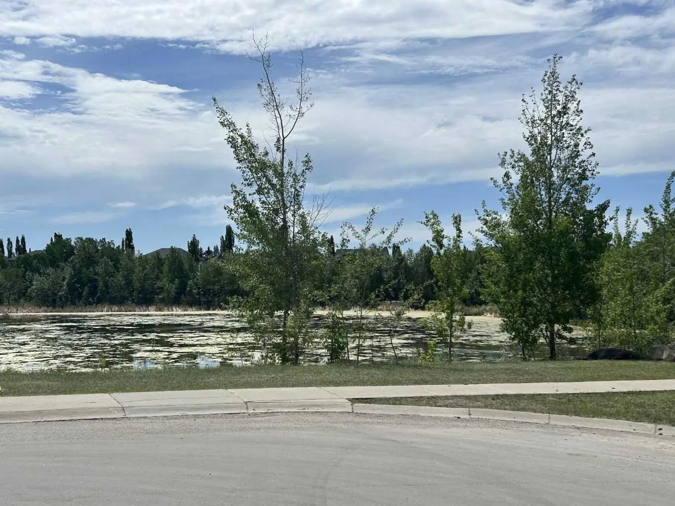 284 Rock Lake Drive Northwest, Calgary – Land Residential Land Listing Photo 4