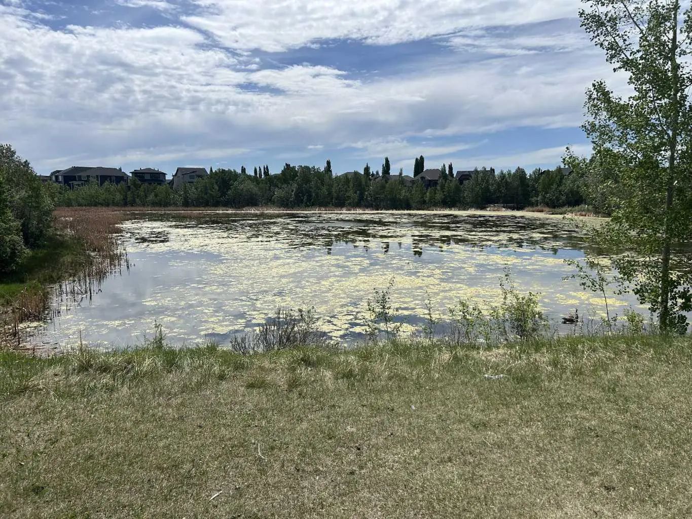 284 Rock Lake Drive Northwest, Calgary – Land Residential Land Listing Photo 8