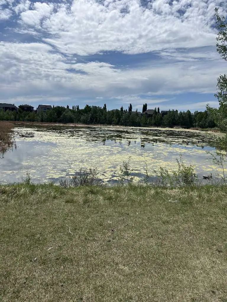 284 Rock Lake Drive Northwest, Calgary – Land Residential Land Listing Photo 9