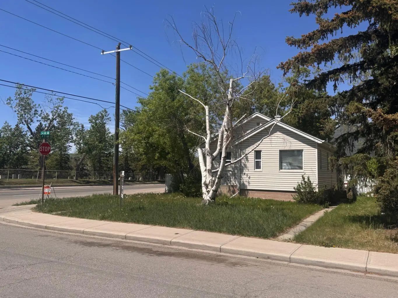 Photo of Listing #A2318118