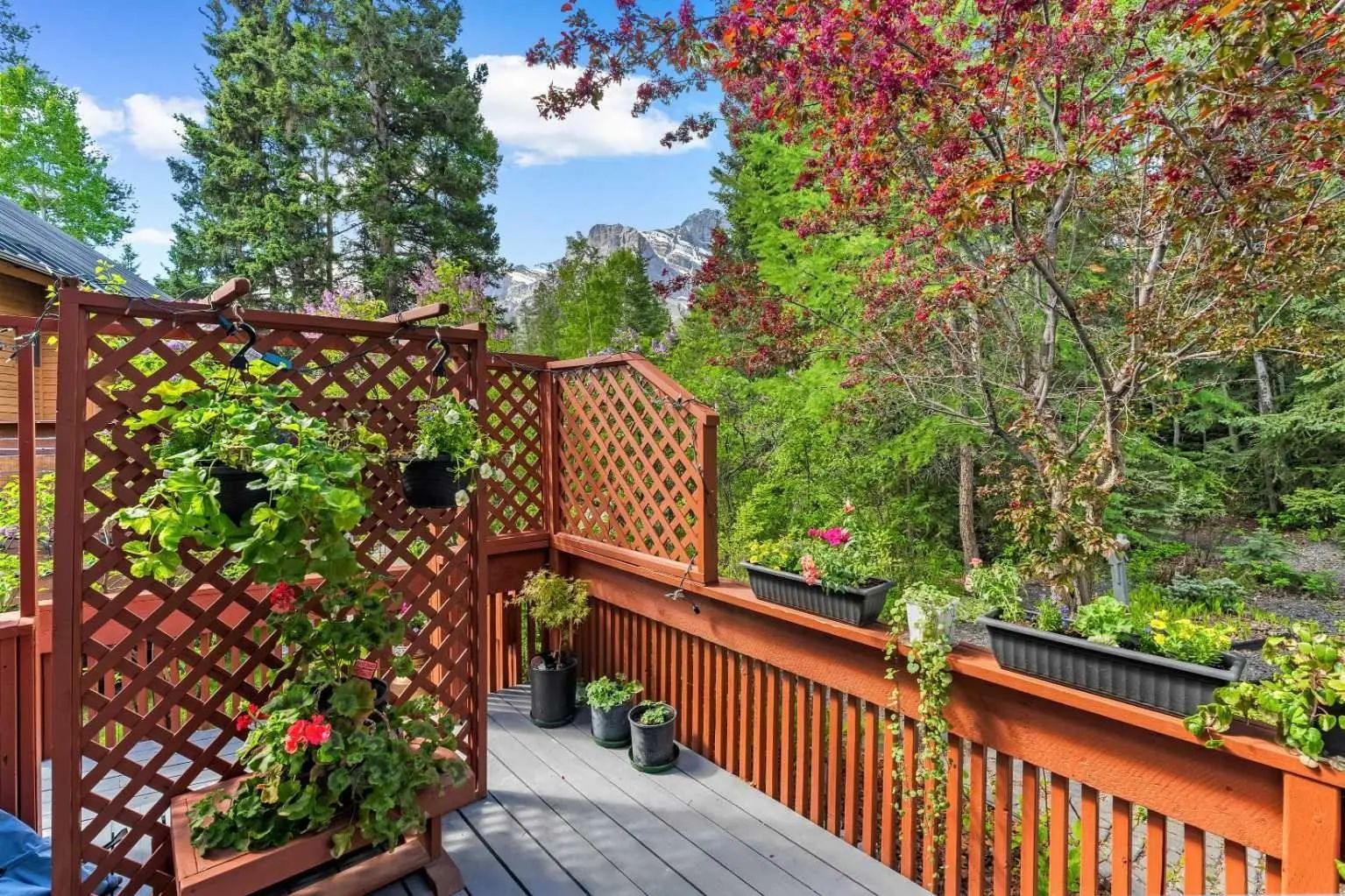 1072 Evergreen  , Canmore – Residential Detached Listing Photo 8
