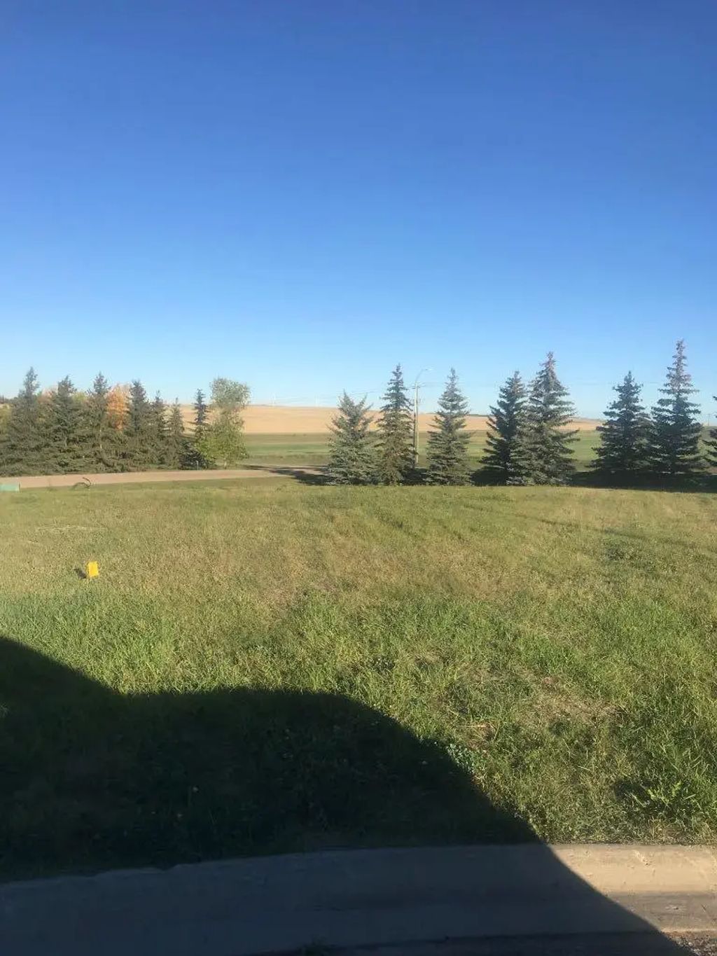 8 Regency  , Trochu