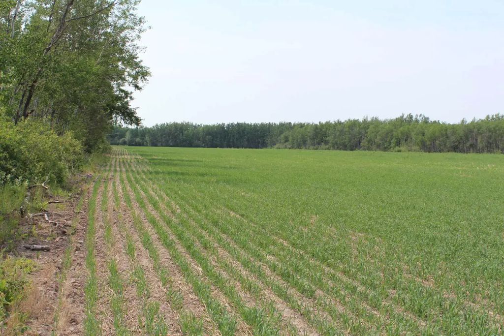 125 Range Road  Se, Fort Vermilion
