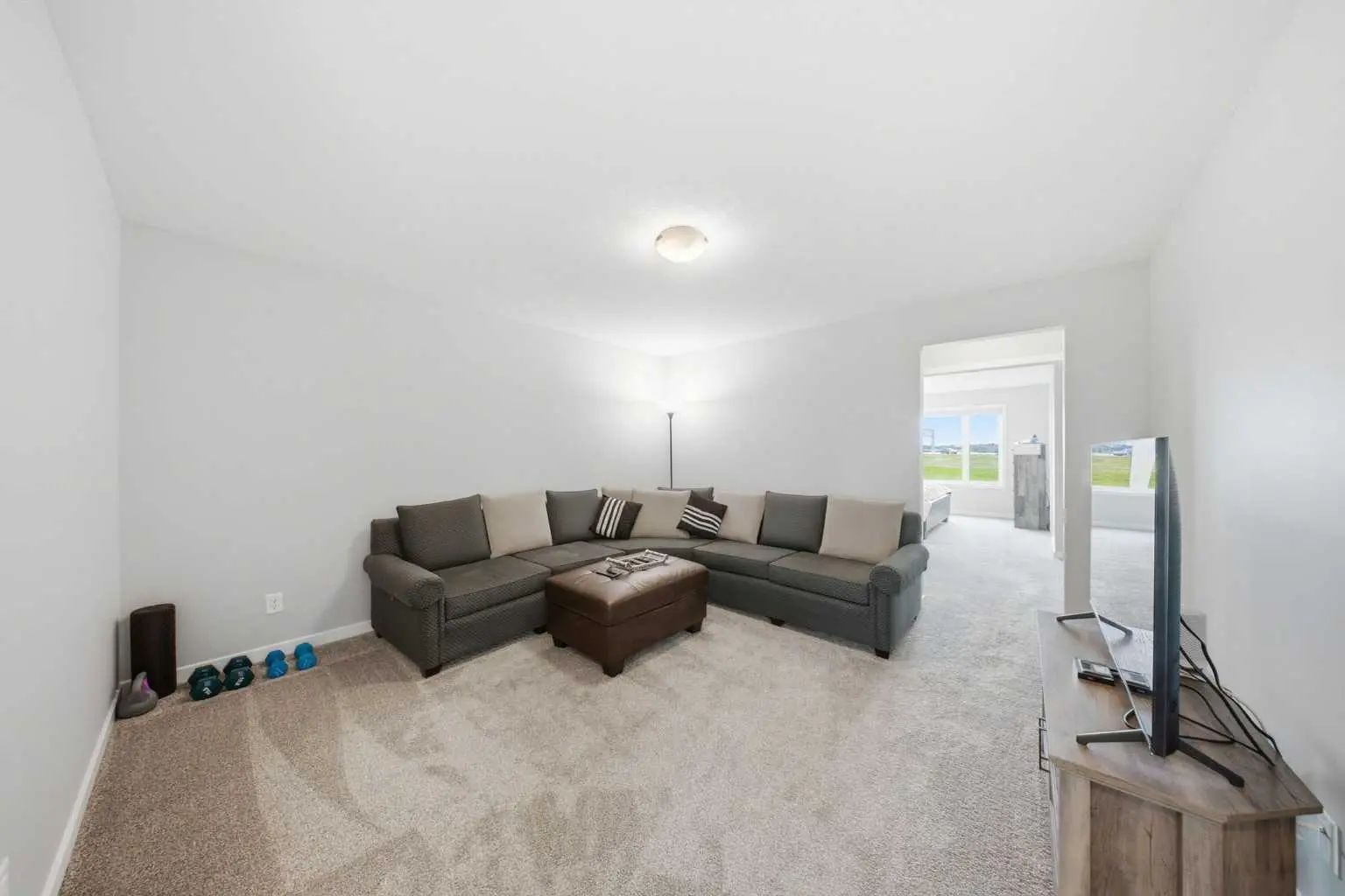 234 Carringsby Way N, Calgary – Residential Detached Listing Photo 21