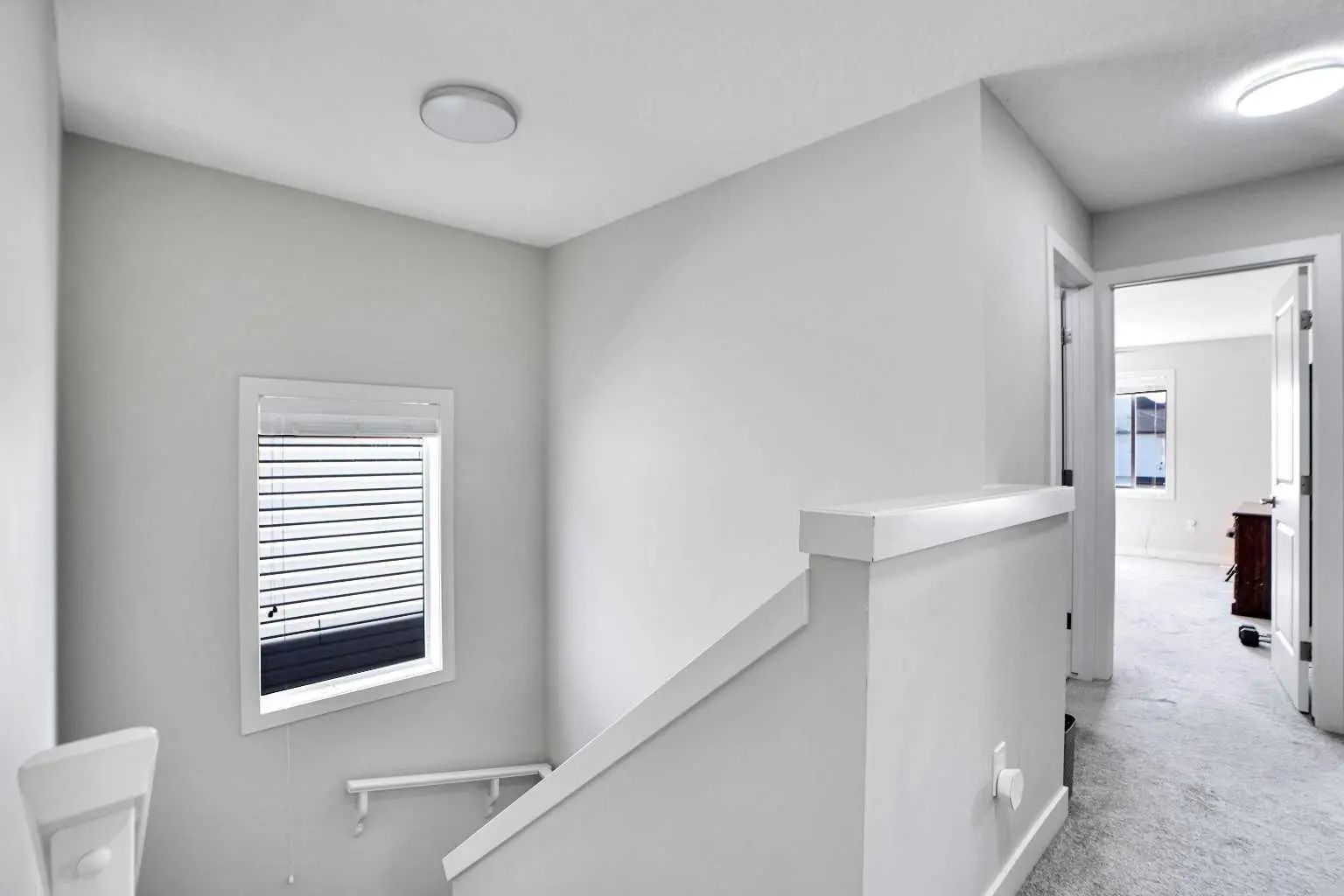 99 Savanna Way Northeast, Calgary – Residential Detached Listing Photo 20