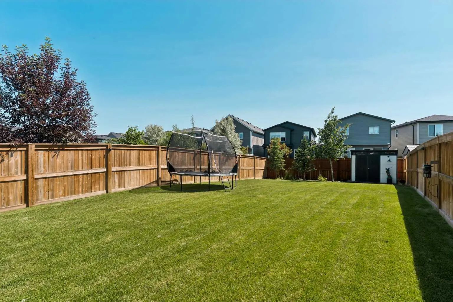 203 Cranbrook Park Southeast, Calgary – Residential Detached Listing Photo 46