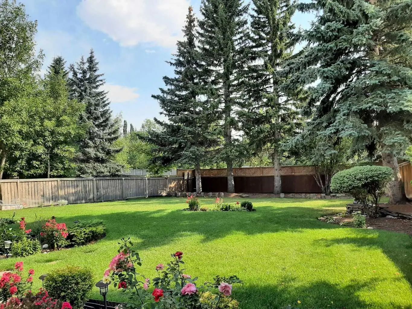 240 Canterville Drive Southwest, Calgary – Residential Detached Listing Photo 13