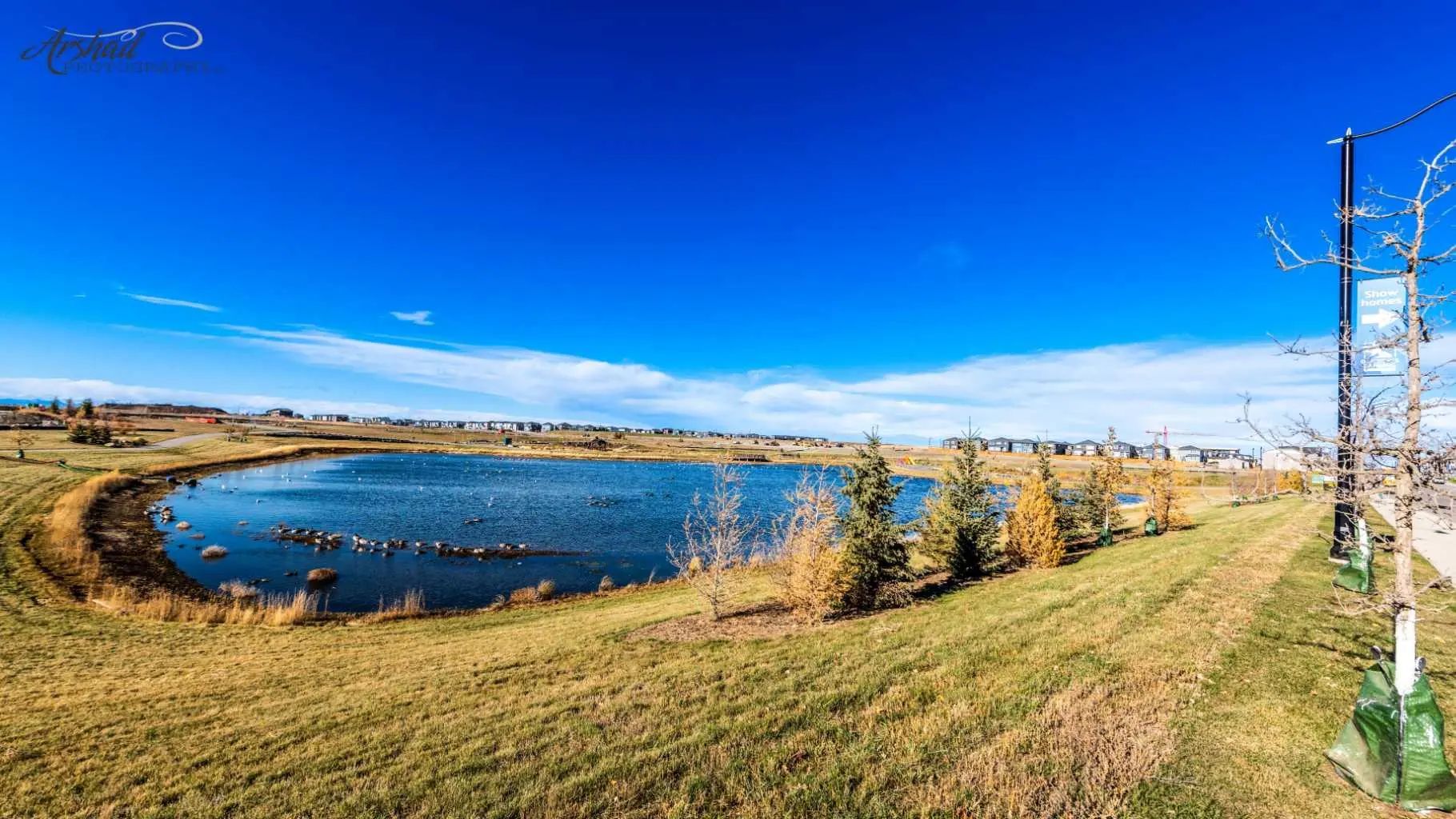 192 Cove Rise , Chestermere – Residential Semi Detached (Half Duplex) Listing Photo 44