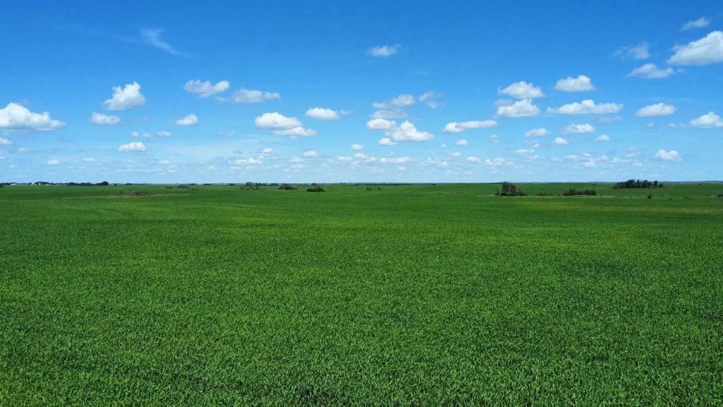 6133 Acres  , Rural Special Areas No. 3
