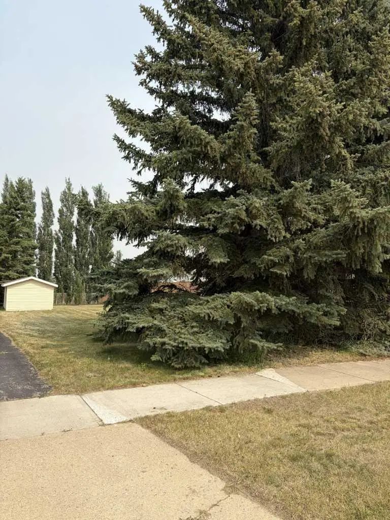 Photo of Listing #A2334445