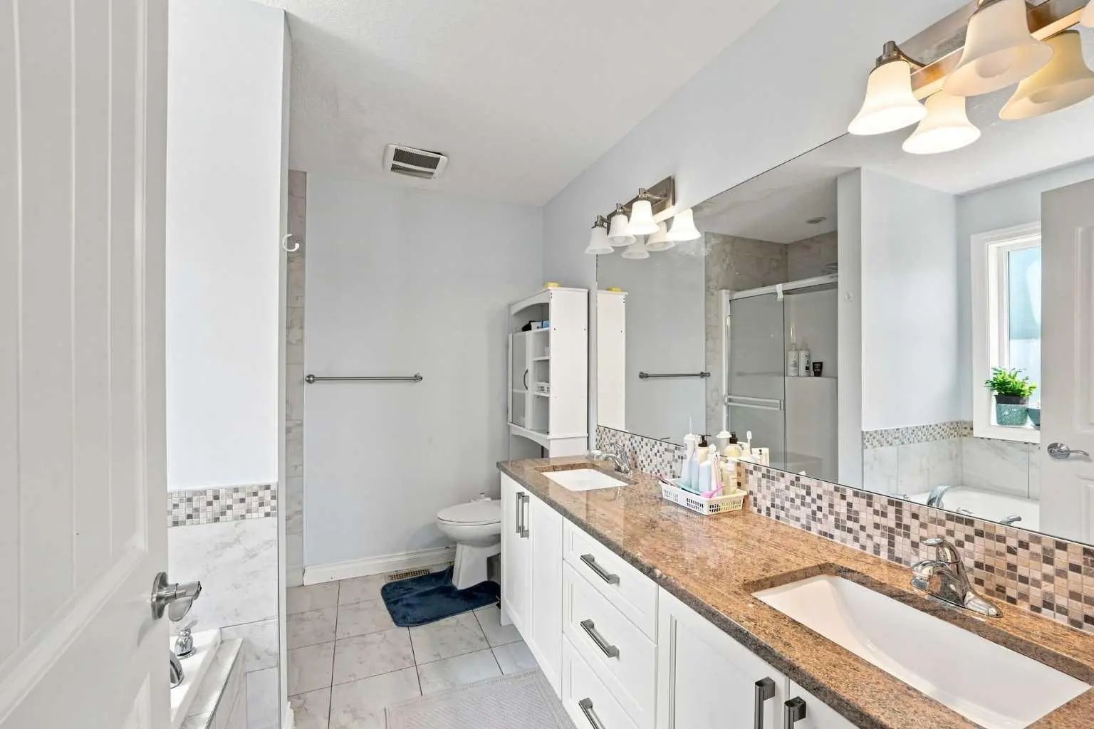 201 Saddlelake Drive Northeast, Calgary – Residential Detached Listing Photo 21