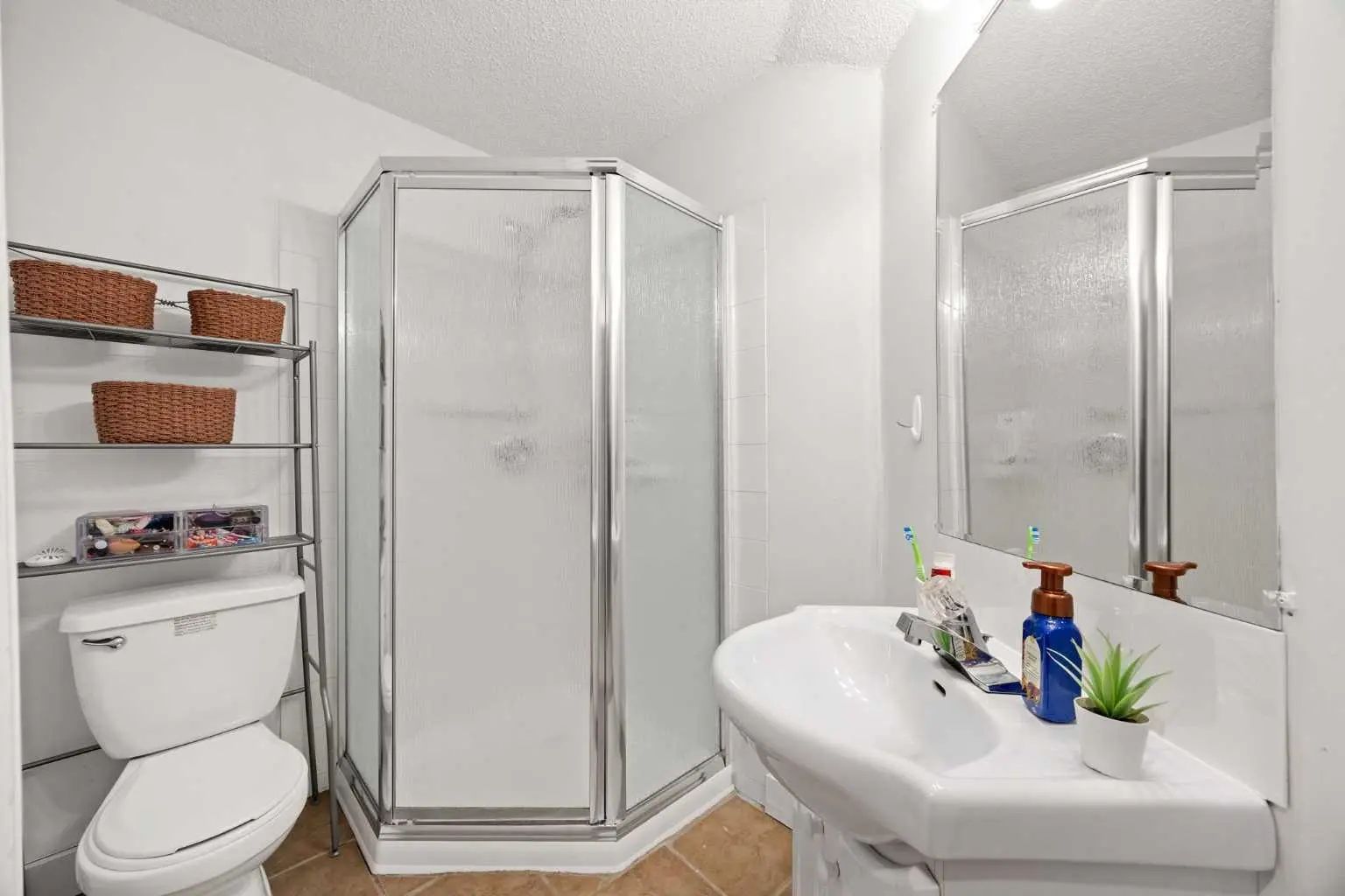 19 Covemeadow Crescent Northeast, Calgary – Residential Detached Listing Photo 28