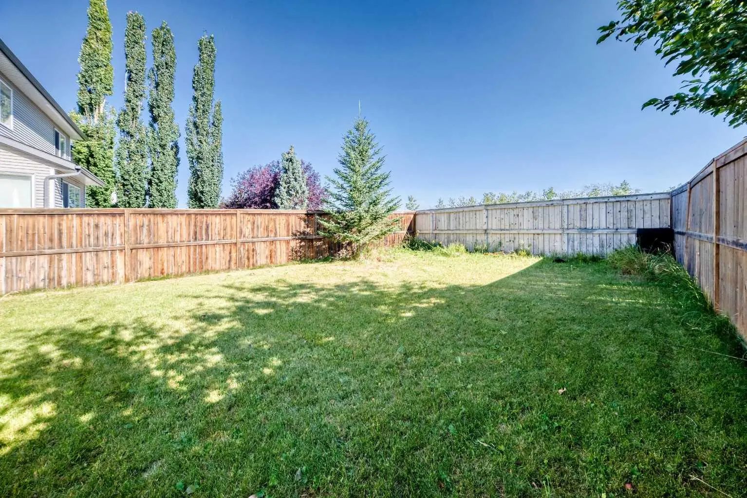 16 Royal Birch Rise Northwest, Calgary – Residential Detached Listing Photo 46