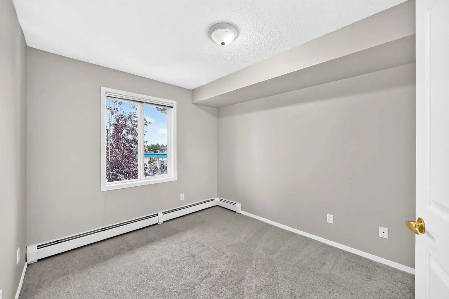 3337 6818 Pinecliff Grove Northeast, Calgary – Residential Apartment Listing Photo 17