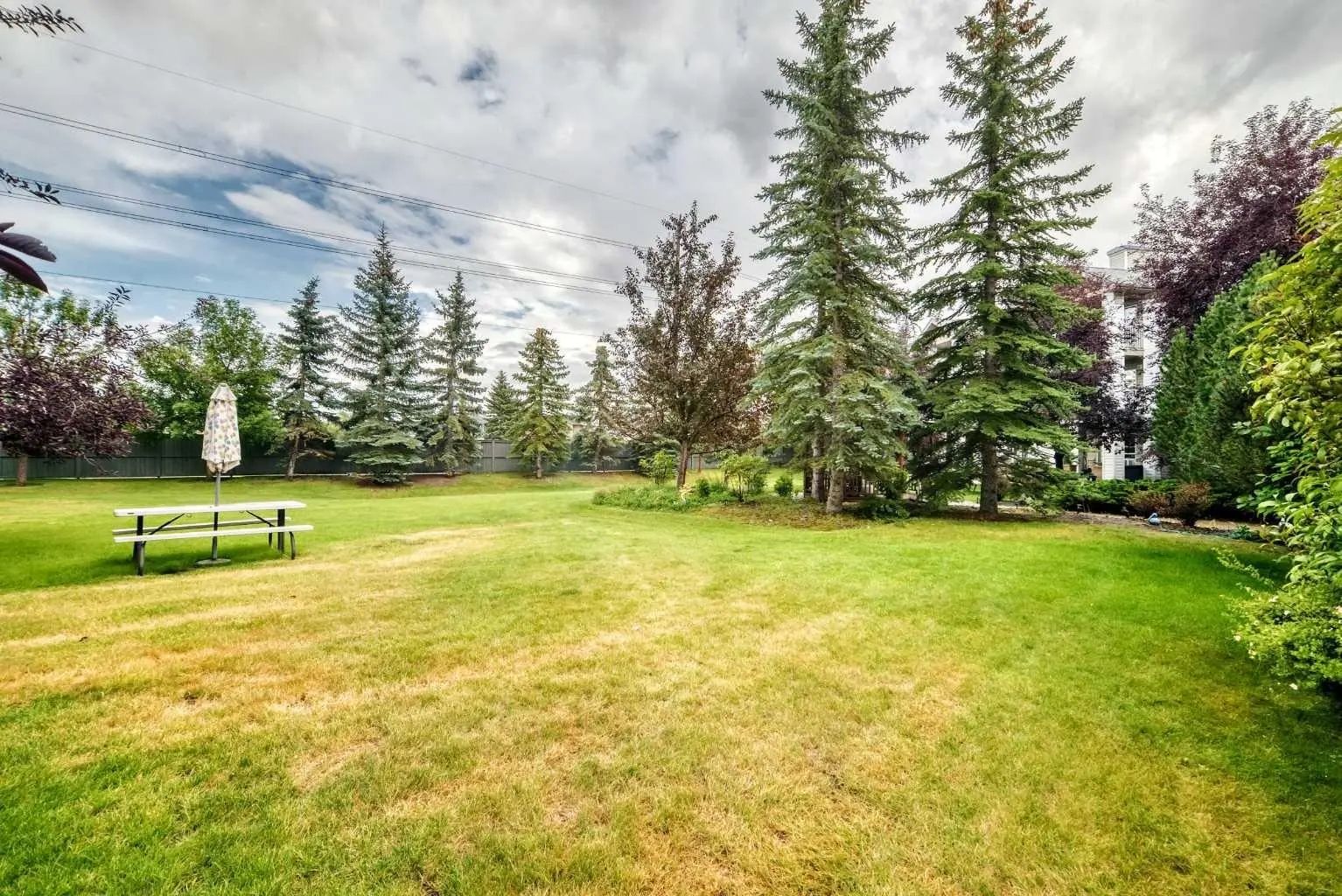 3337 6818 Pinecliff Grove Northeast, Calgary – Residential Apartment Listing Photo 45