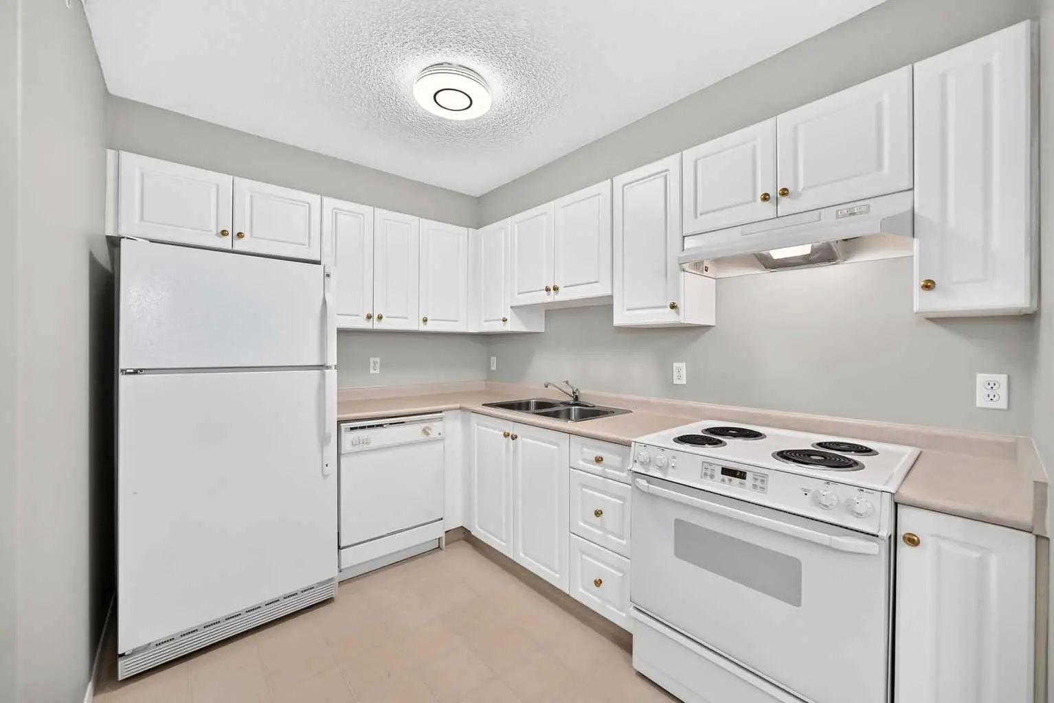 3337 6818 Pinecliff Grove Northeast, Calgary – Residential Apartment Listing Photo 8