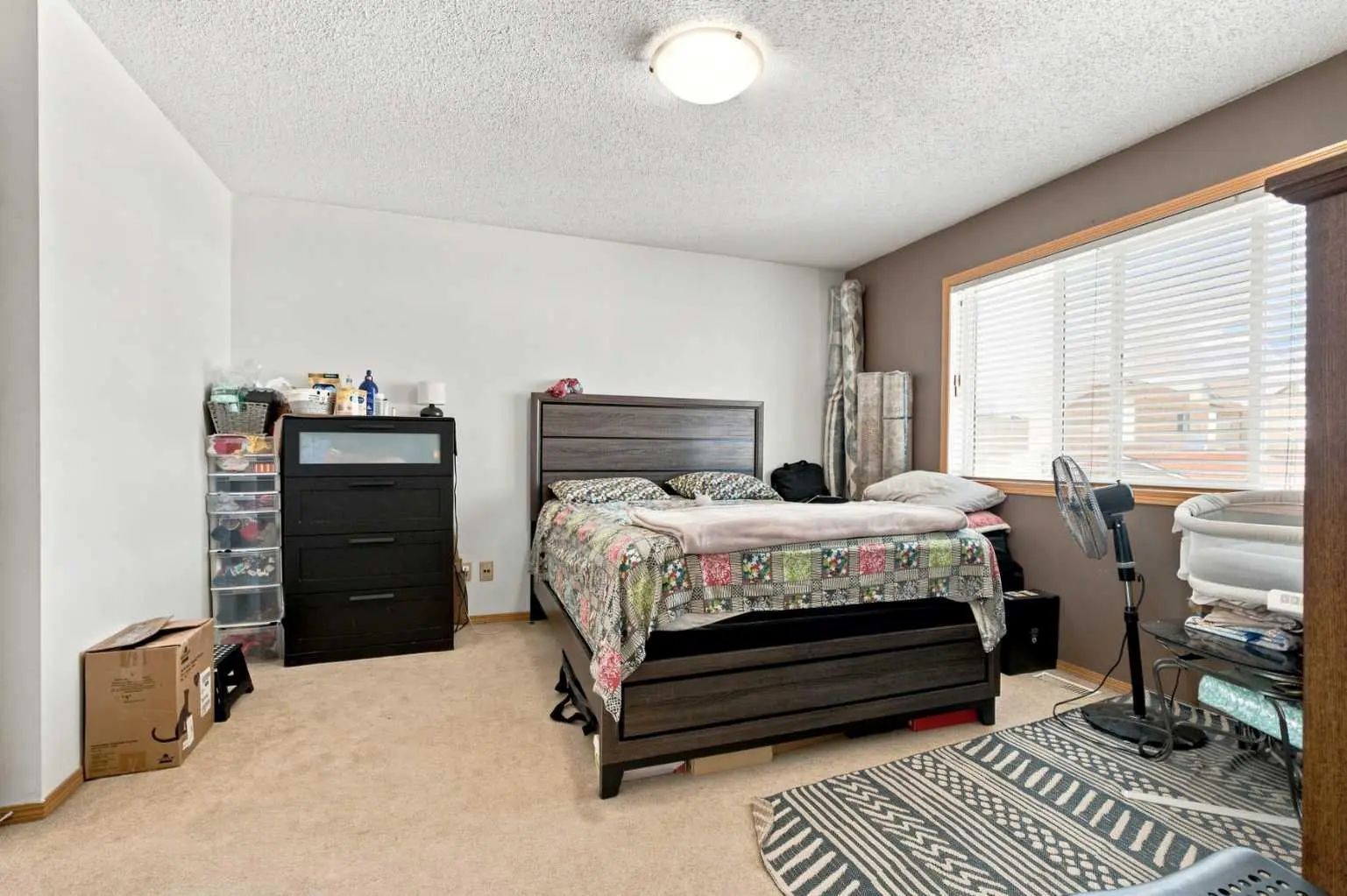 162 Taradale Drive Northeast, Calgary – Residential Detached Listing Photo 19