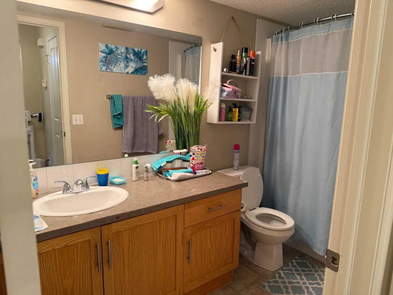 270 Saddlebrook Point Northeast, Calgary – Residential Row/Townhouse Listing Photo 12