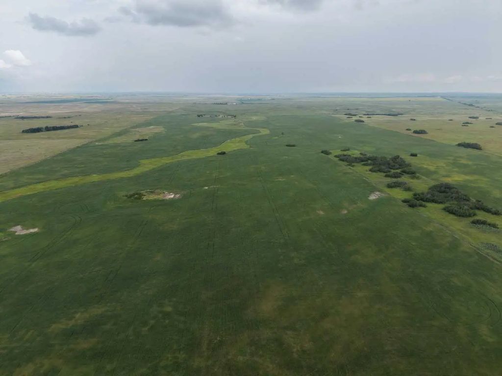 On Range Road 8-3  , Rural Special Areas No. 4