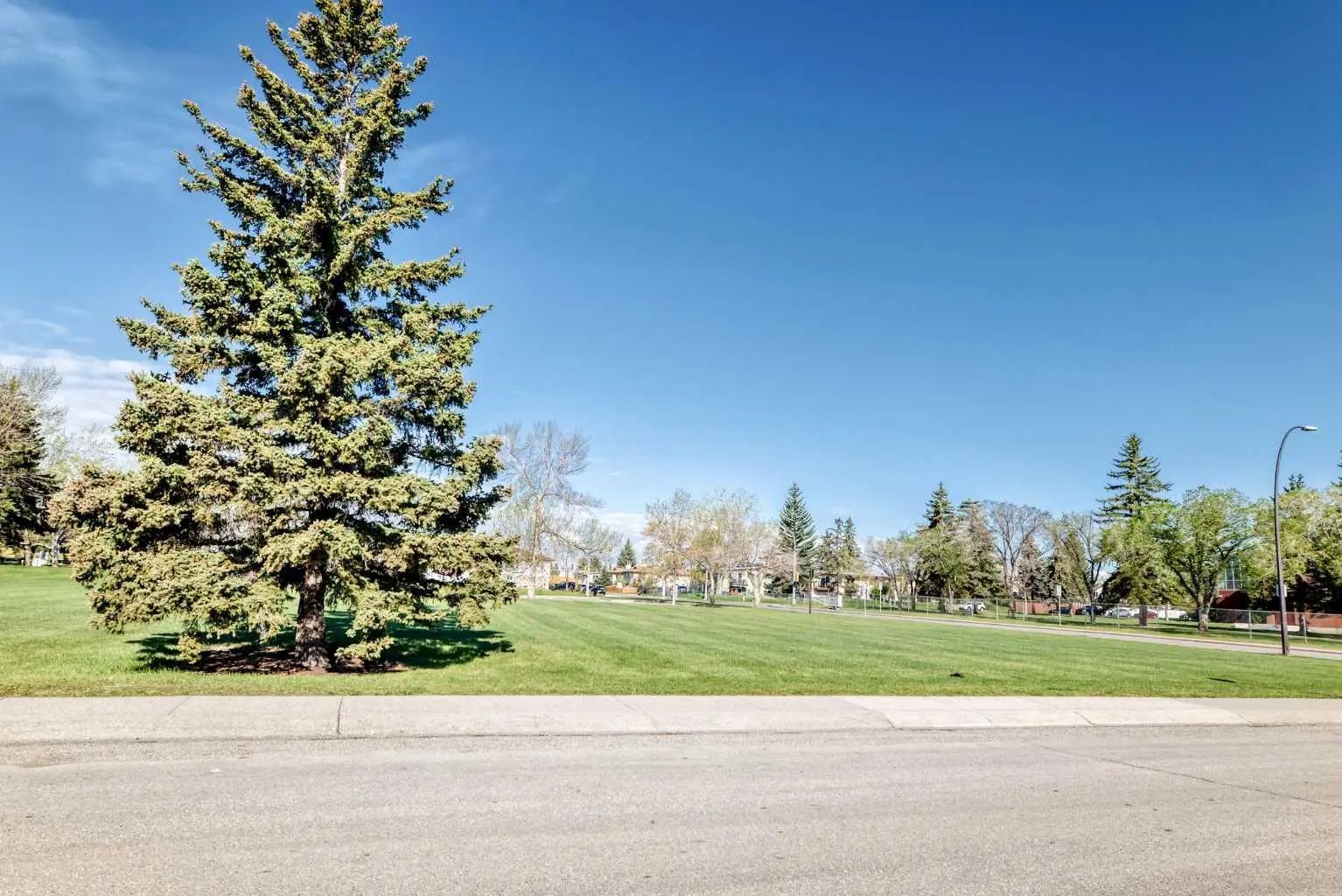 1508 45 Street Southeast, Calgary – Residential Detached Listing Photo 3