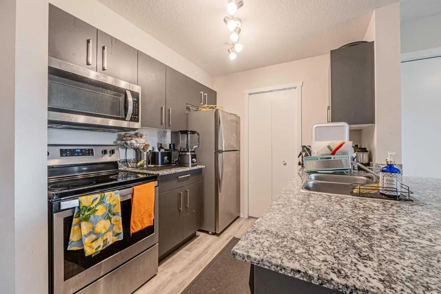 4210 4641 128 Avenue Northeast, Calgary – Residential Apartment Listing Photo 7