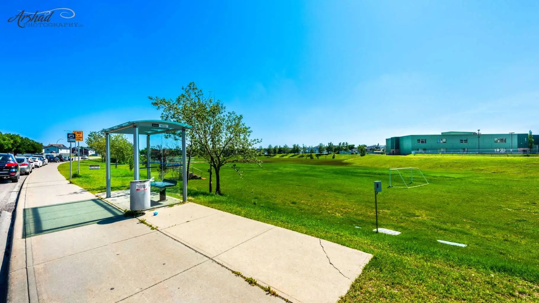 56 Martinglen Place Northeast, Calgary – Residential Detached Listing Photo 41