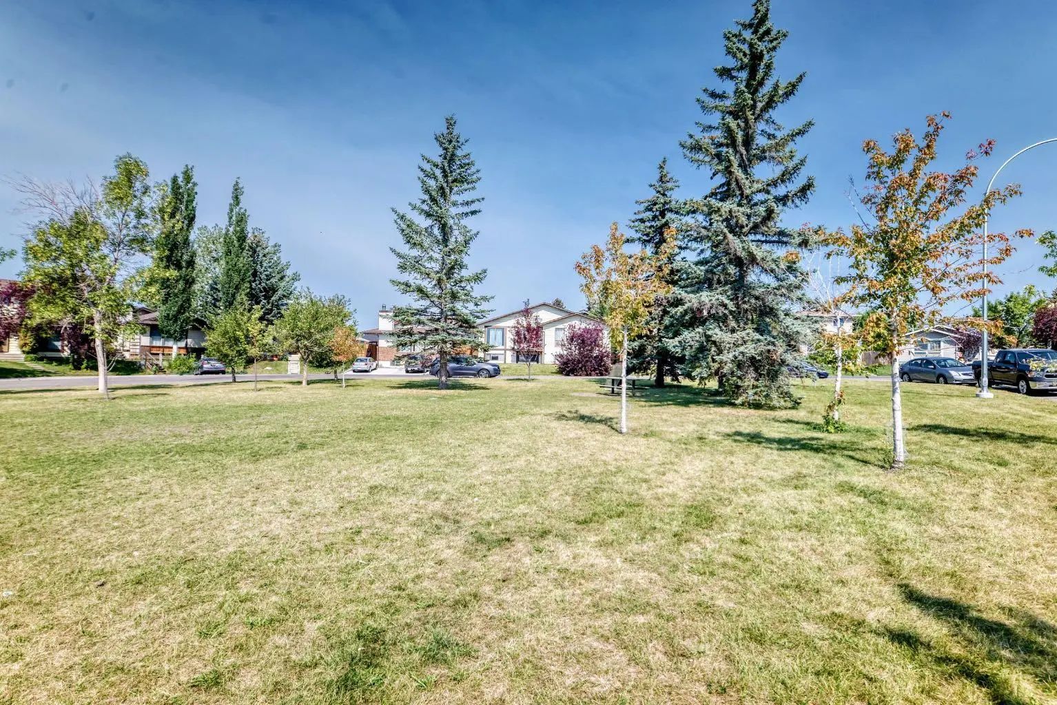 40 Falconridge Close Northeast, Calgary – Residential Detached Listing Photo 32