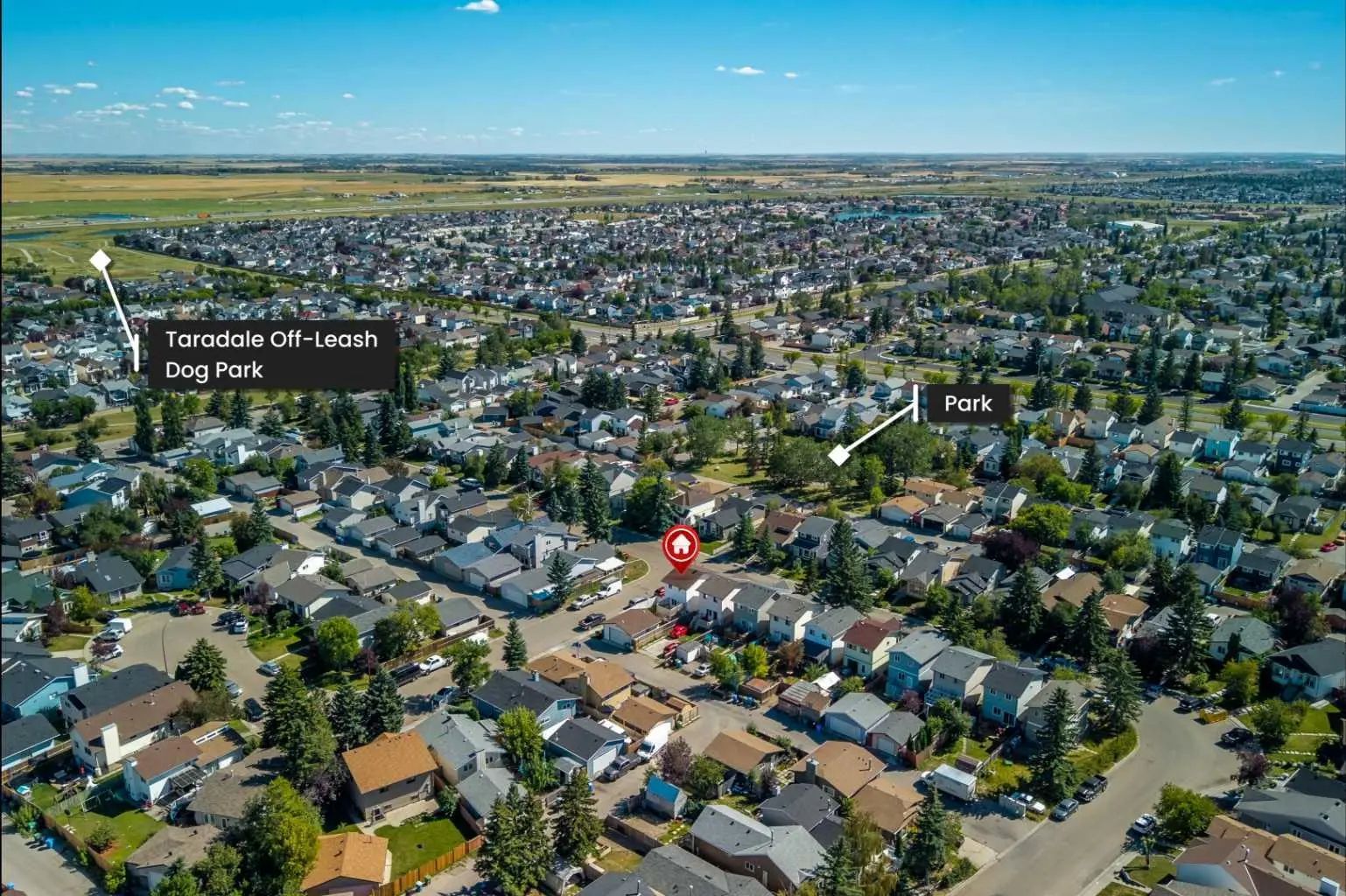 58 Taraglen Road Northeast, Calgary – Residential Detached Listing Photo 42
