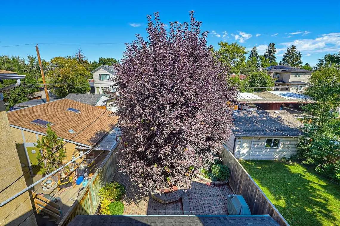 532 54 Avenue Sw Calgary Alberta T2V 0C7 Windsor Park Home For Sale