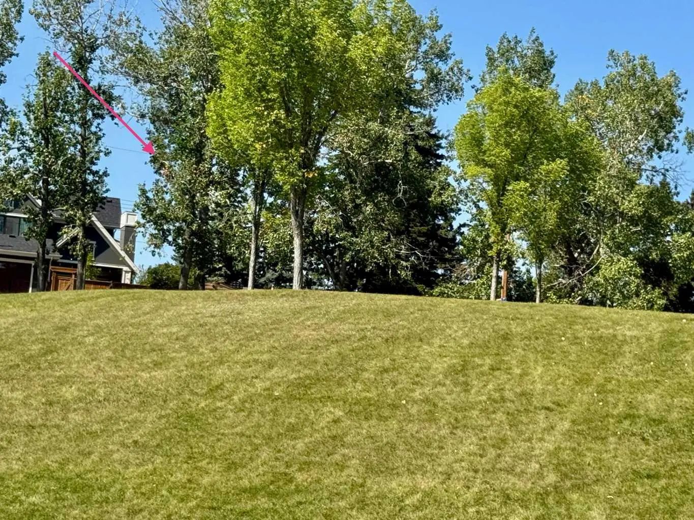 15 Rosery Drive Nw Calgary Alberta T2K 1L4 Rosemont Home For Sale